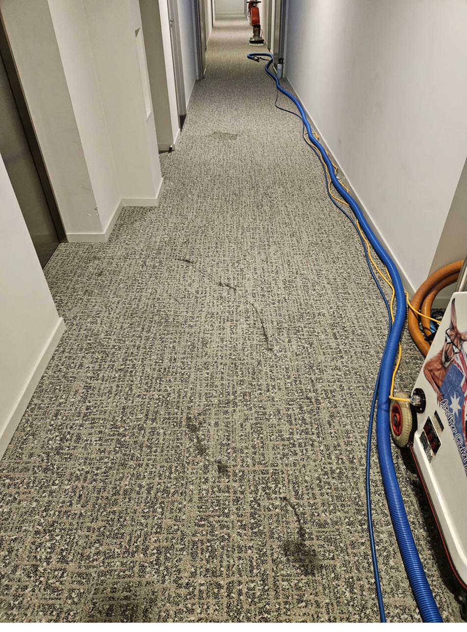 Commercial corridor carpet before cleaning