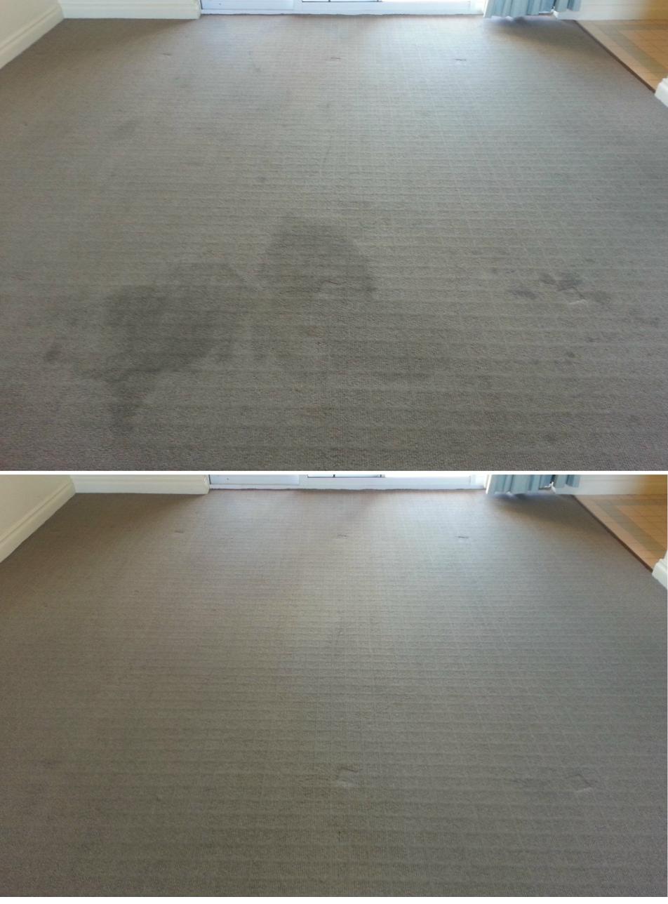 Residential carpet before and after cleaning — stains removed, Perth vacate clean