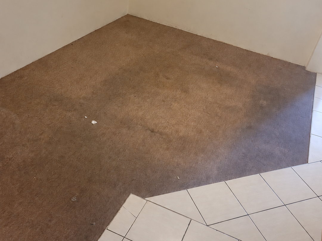 Residential carpet before cleaning, with soiled areas beside a tiled floor
