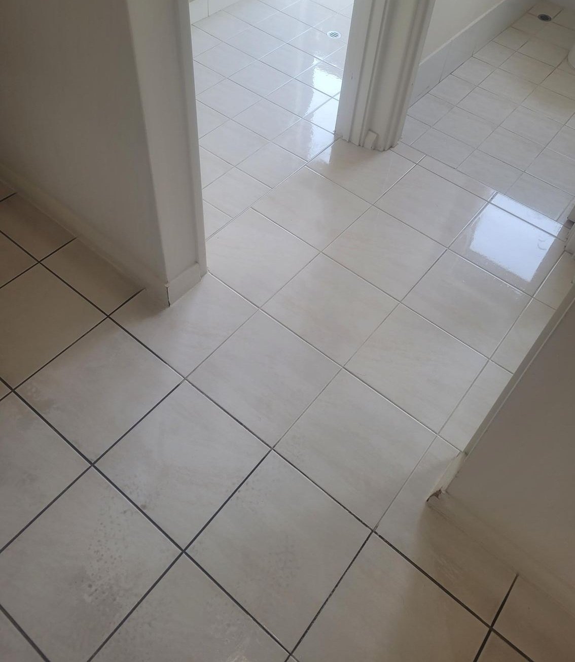 Residential tile and grout cleaning before result
